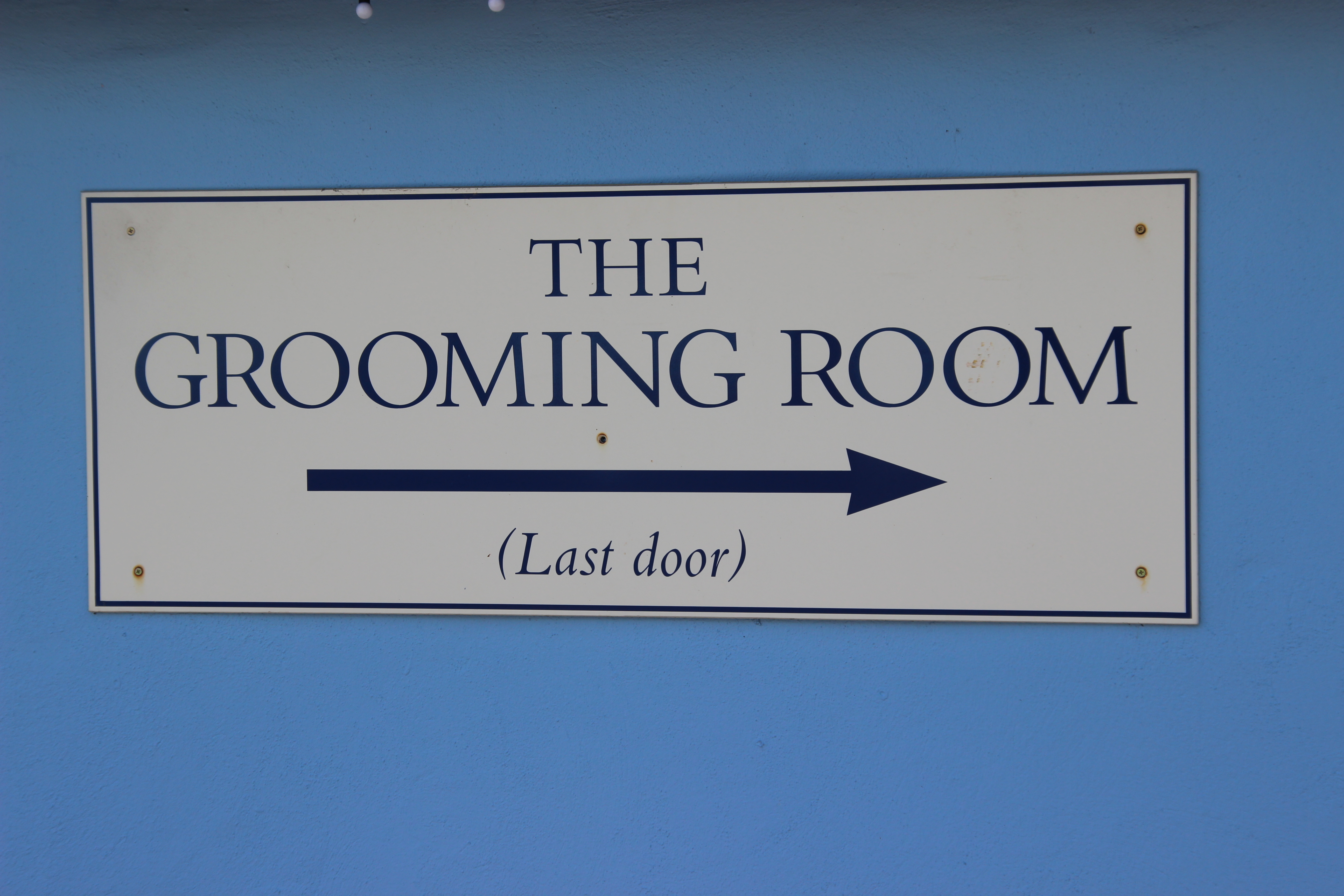 Vets in Caterham, Groomers at Freer Farm