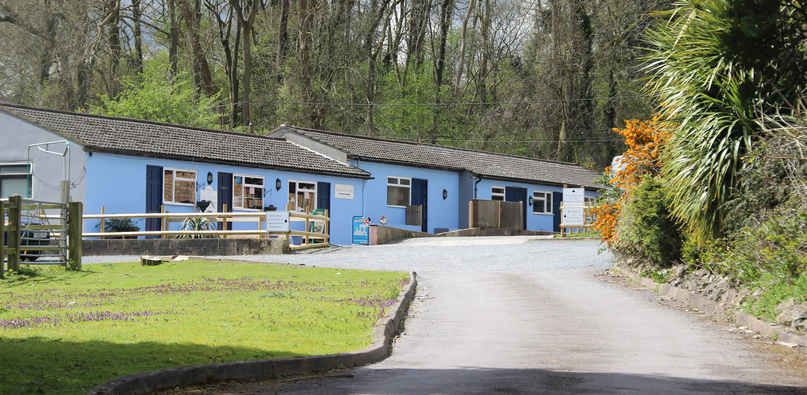 Our Vets in Caterham, Surrey
