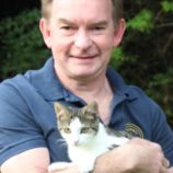 Anwell Vets