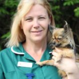Anwell Vets